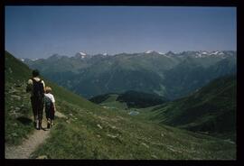 Landschaft im Sommer