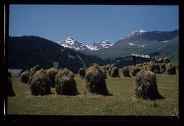 Landschaft, Wandern