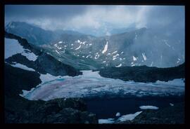 Landschaft im Sommer