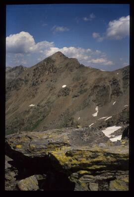 Landschaft im Sommer