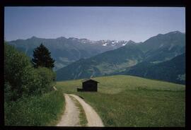 Landschaft im Sommer