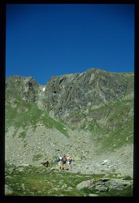 Landschaft im Sommer