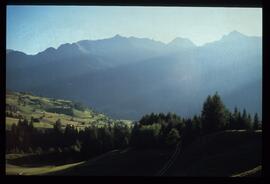 Landschaft im Sommer