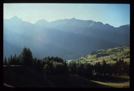 Landschaft im Sommer