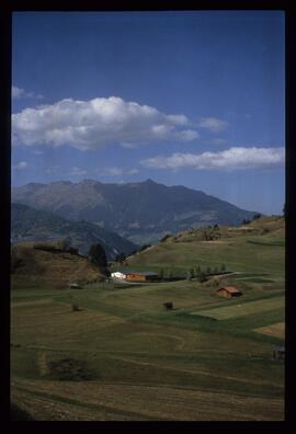 Landschaft im Sommer