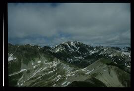 Landschaft im Sommer