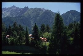 Oetztaler Alpen