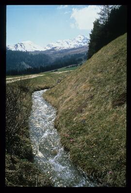 Landschaft im Sommer