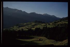 Landschaft im Sommer