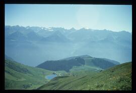 Landschaft im Sommer