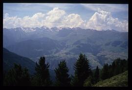 Landschaft im Sommer