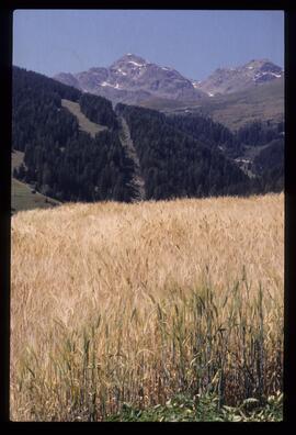 Landschaft, Wandern