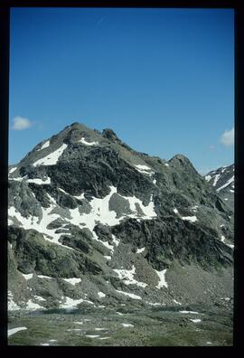 Landschaft im Sommer