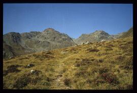 Landschaft im Sommer