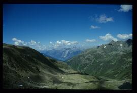 Landschaft im Sommer