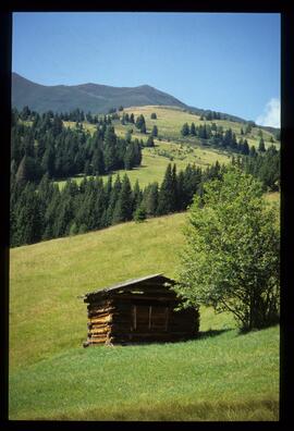 Sommer