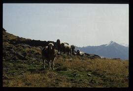 Landschaftsaufnahme