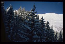 Landschaft im Winter