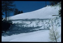 Zweige mit Schnee und Raureif