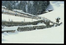 Zweige mit Schnee und Raureif