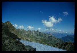 Landschaft im Sommer