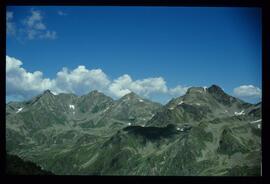 Landschaft im Sommer