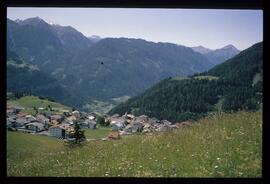 Landschaft im Sommer