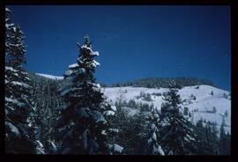 Landschaft im Winter