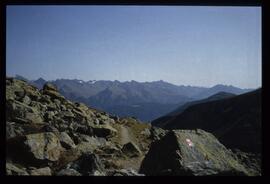 Landschaft im Sommer