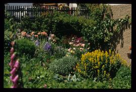Gartenblumen