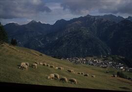 Landschaft im Sommer