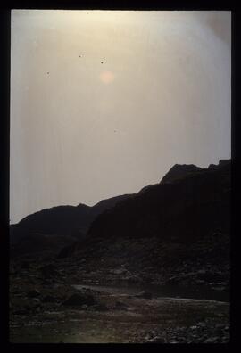 Landschaft im Sommer