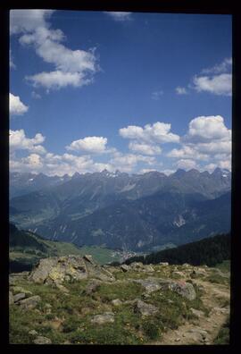 Landschaft im Sommer