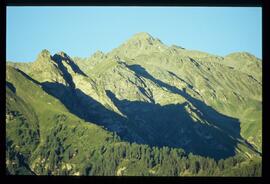 Sommer