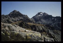 Landschaft im Sommer