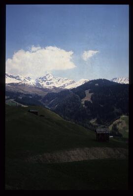 Landschaft im Sommer