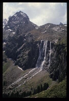 Landschaft im Sommer