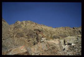Landschaft im Sommer