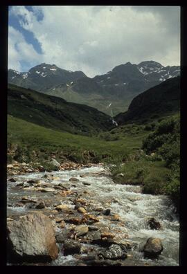 Landschaft im Sommer