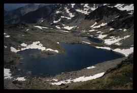 Landschaft im Sommer