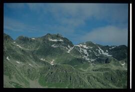 Landschaft im Sommer