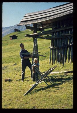 Auf dem Feld