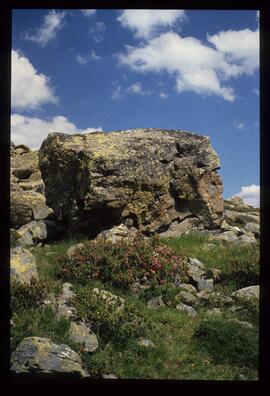 Landschaft im Sommer