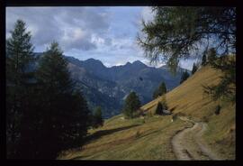Landschaft im Sommer