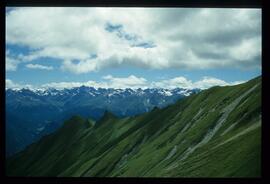 Landschaft im Sommer