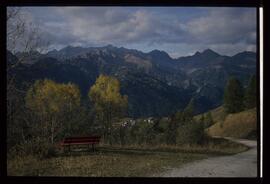 Landschaft im Sommer