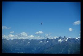 Landschaft im Sommer