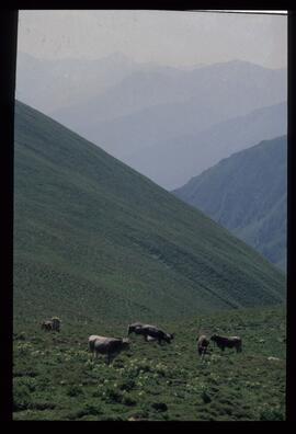 Landschaftsaufnahme