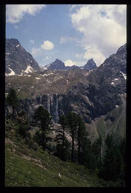 Landschaft im Sommer