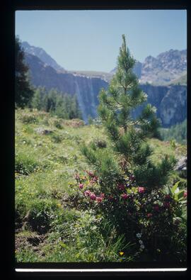 Landschaft, Wandern